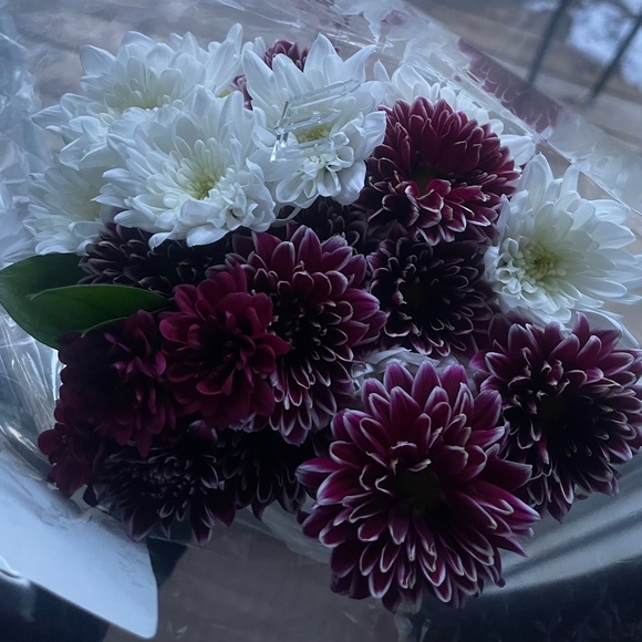 Meet your Posher, Savana - Picture 1 of 1